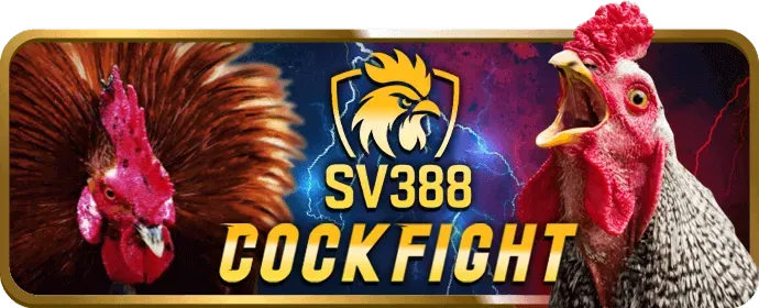 Hoàn trả thể thao và casino debet code