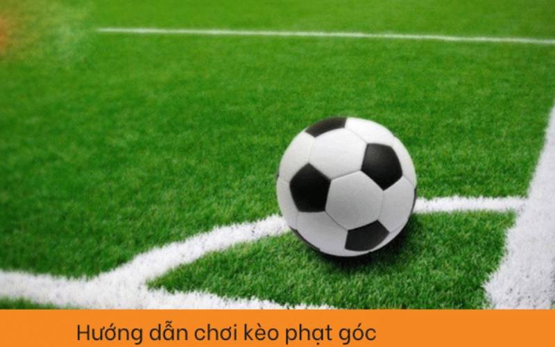 Kinh nghiệm soi kèo phạt góc hiệu quả từ chuyên gia